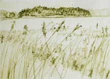 meadow by William Wittmann